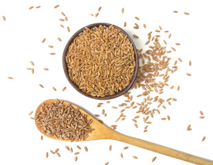 Spelt grains isolated on a white background, top view. Spelt seeds on wooden spoon. Gluten free. Полба. Глютен.