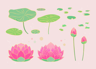 불교의 상징 연꽃 일러스트.