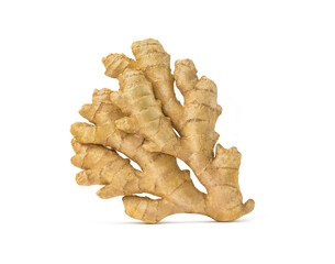 Fresh ginger on white background. Herb medical concept. Gingers in flavoring cooking. Имбирь....