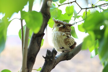 Decorative owl on a branch of natural wood