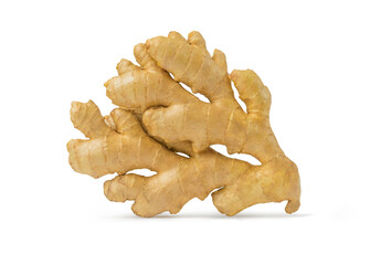 Fresh ginger on white background. Herb medical concept. Gingers in flavoring cooking. Имбирь. Vegan food. Вегетарианец. Ginger root