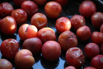 Fallen red plums on a tray after hail