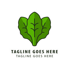 Spinach leaves illustration. Simple elegant style green leaves of spinach vegetable salad