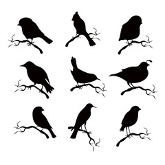 Bird logo set template logo-Vector