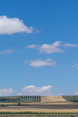 Fototapeta na wymiar Agricultural landscape in Andalusia