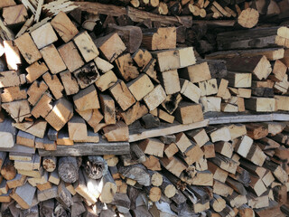Firewood in uneven rows stacked in a woodpile