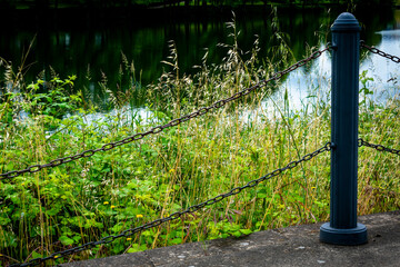 Chain fence around green foliage and pond with reflection