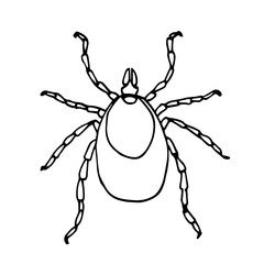 european forest mite, parasite insect, ixodes ricinus, infection carrier, bloodsucker, vector illustration with black contour lines isolated on a white background in hand drawn style