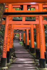 Fototapeta na wymiar red gates at fushimi inari, Kyoto, torii gates on mt inari