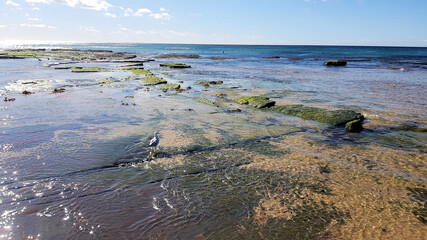 Rocks at Merewether Beach Newcastle Australia
