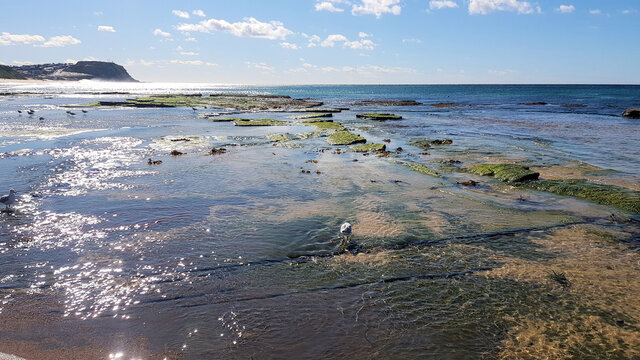 Rocks at Merewether Beach Newcastle Australia