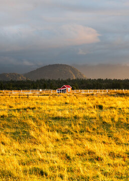 sunkissed red farmhouse in a field in New Zealand