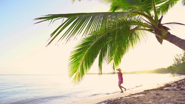 Sunrise over tropical island beach and palm trees. Punta Cana, Dominican Republic.