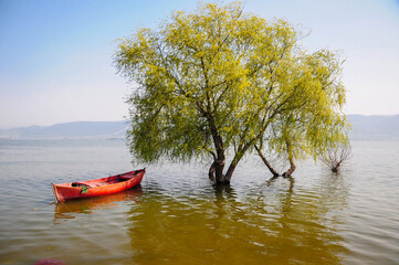 a red boat and two trees on the lake