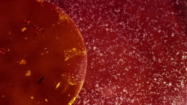 Abstract red sun's surface orbs merching background texture