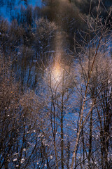 Fototapeta premium 北海道冬の風景 美瑛町のサンピラー