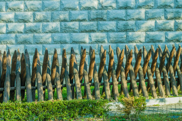 Barrier of pointed projecting spikes