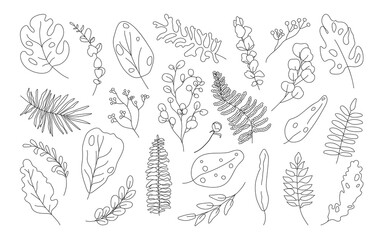 Set of exotic contour tropical leaf. Hand drawn different abstract jungle floral botanic leaves palm, monstera for decorative composition or invitation card. Isolated on white vector illustration
