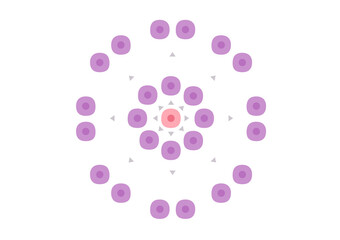 cancer and tumor cell stage and development vector	/  malignant type