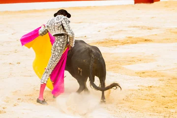 Foto op Canvas Bullfighter © M6