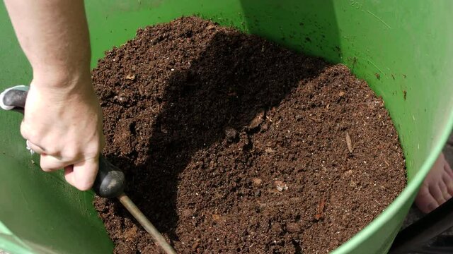 Organic compost in bucket prepared for use by hand tool. UK garden. Close up
