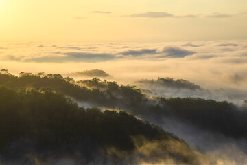 Beautiful panoramic view during sunrise with sea of clouds over the mountain in Mangunan, Yogyakarta, Indonesia.