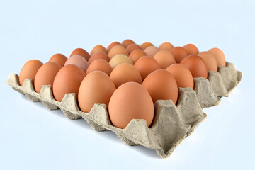 Chicken eggs in the egg tray isolated on the white background. 
