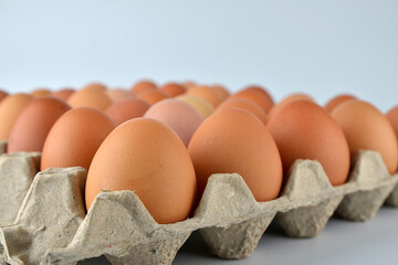 Chicken eggs in the egg tray isolated on the white background. 