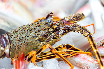 Pesce fresco su bancone della pescheria con ghiaccio