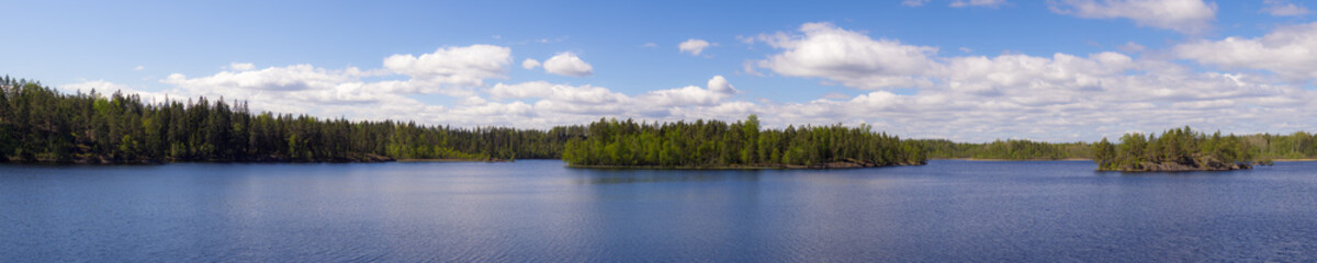 forest lake panorama