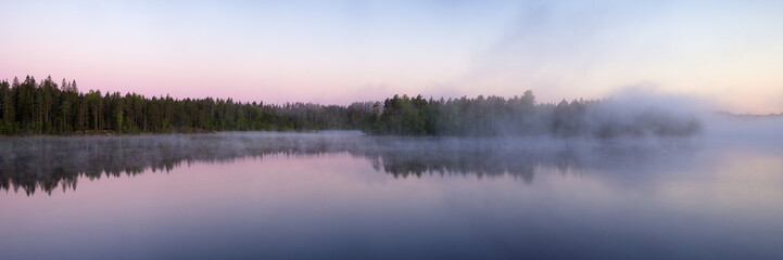 panorama of a forest lake