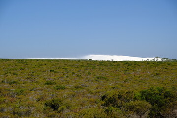 Western Australia  - shifting sand dune, wandering dune