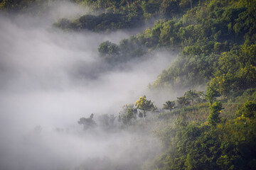 Fog over mountain in Mangunan, Yogyakarta, Indonesia.