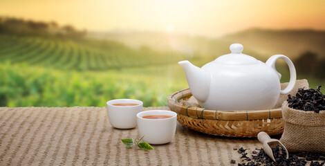 Fototapeta na wymiar Warm cup of tea with teapot, green tea leaves and dried herbs at morning in plantations with panorama background empty space for text, Organic product from the nature for healthy with traditional