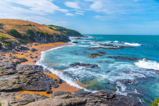 Katiki Billeder Gennemse 619 stockfotos, vektorer og videoer Adobe