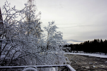 Landscape with much snow in the winter time at Sweden