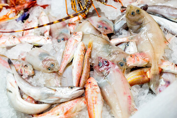 Pesce fresco su bancone della pescheria con ghiaccio
