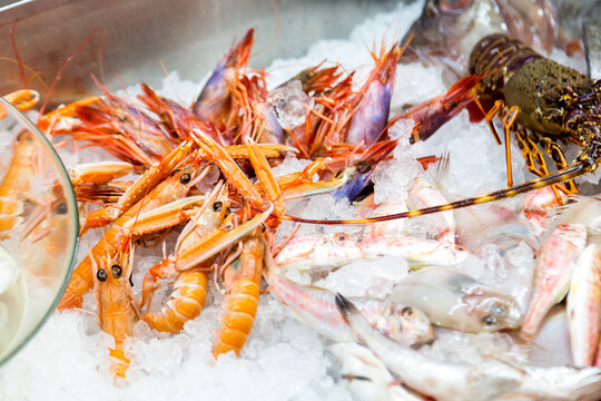 Pesce fresco su bancone della pescheria con ghiaccio