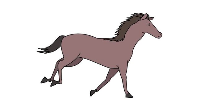 走る茶色の馬-横向き