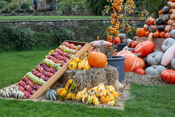 Pumpkin and vegetables display on the harvest festival. Concept of Halloween, autumn symbol,...