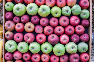 Fresh delicious red and green juicy apple display