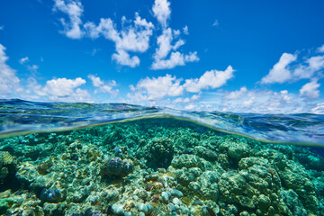 Boundary of two worlds_4