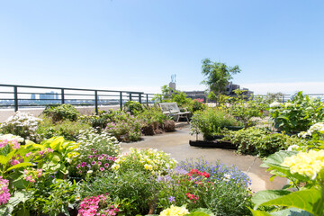 Naklejka premium 植物で鮮やかな初夏のバルコニー、都会のガーデニング