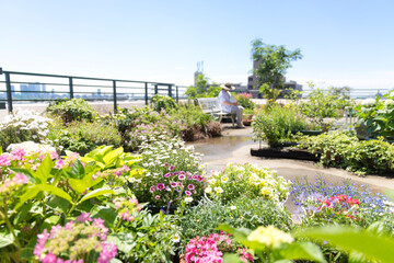 ルーフバルコニーでくつろぐ女性、ガーデニング、エクステリア