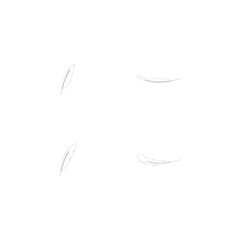 Fototapeta premium feather logo