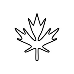 Maple leaf line icon
