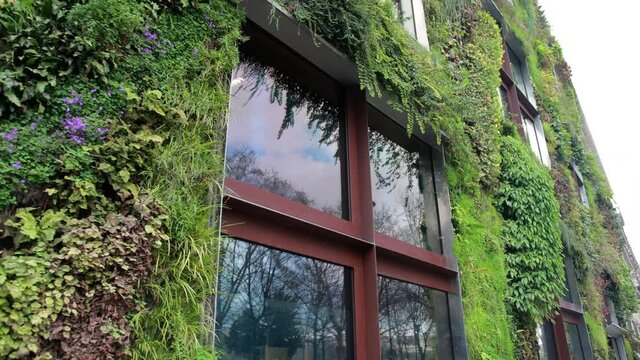 Patrick Blanc, Le Mur Vegetal Garden, Quai Branly museum, Living Wall, Jean Nouvel, Paris, France, Green Living Architecture
