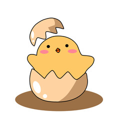 Cute little chick in broken egg