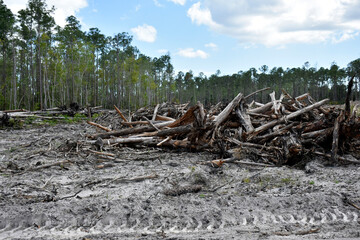 Construction Site Florida (5)