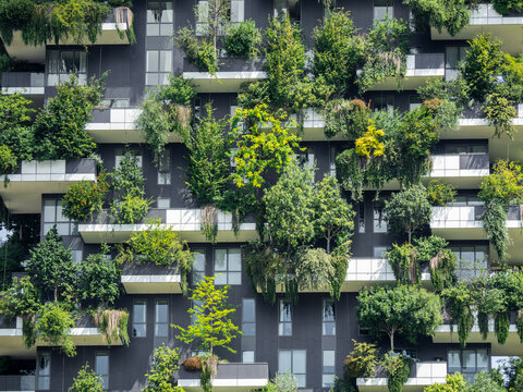Milano, Italy. Bosco Verticale, a close up view at the modern and ecological skyscrapers with many trees on each balcony. Modern architecture, vertical gardens, terraces with plants